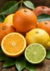 الحمضيات