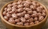 الفاصوليا العادية