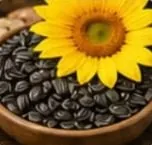 عباد الشمس