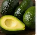 الأفوكادو