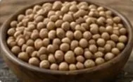 البازلاء الحمامية