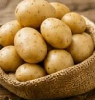 البطاطس