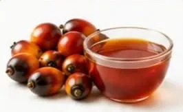 زيت النخيل